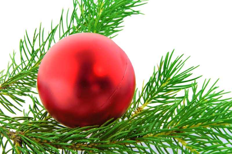 Weihnachtszweig