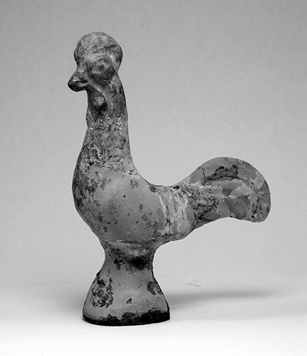 Gips 5