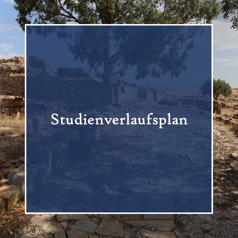 Studienverlaufsplan.tif