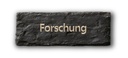 Forschung.jpg