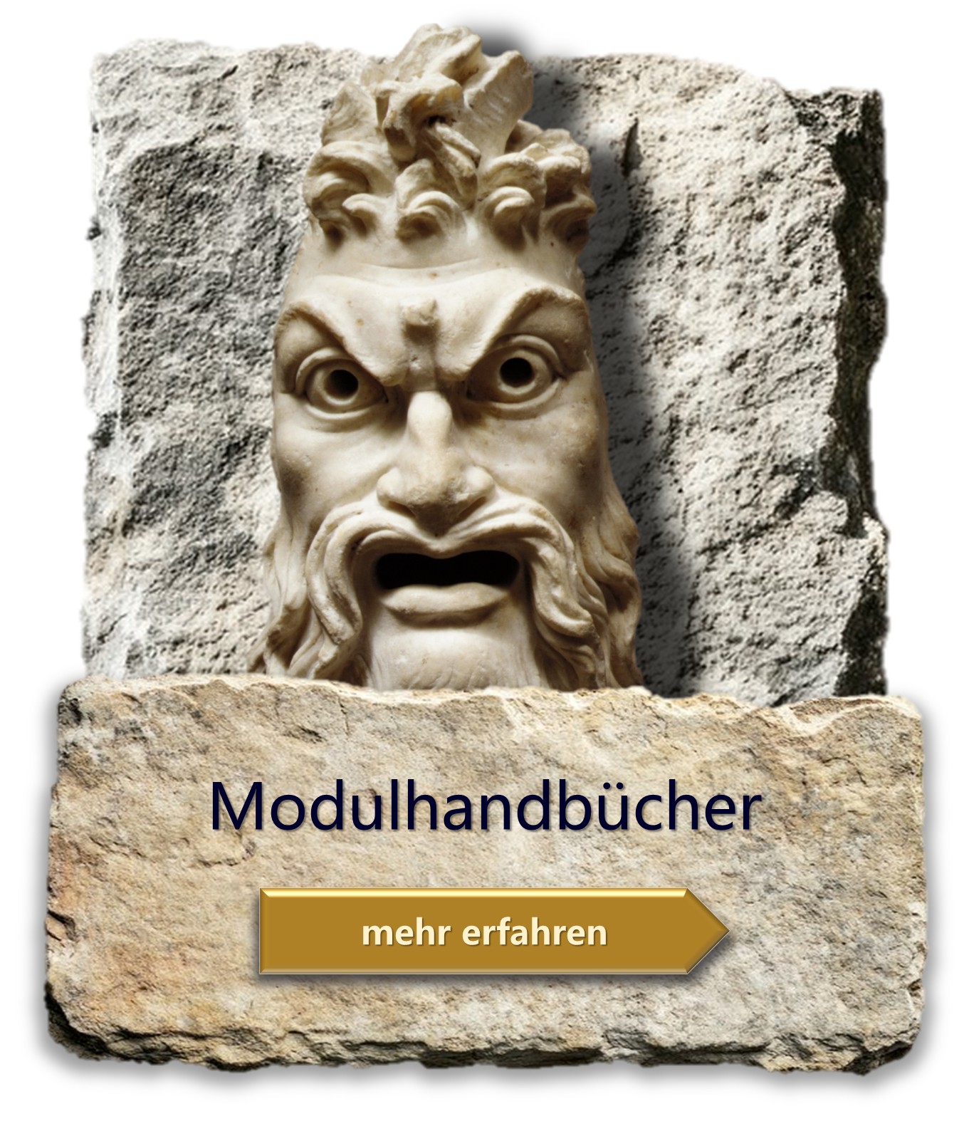 Modulhandbücher.jpg