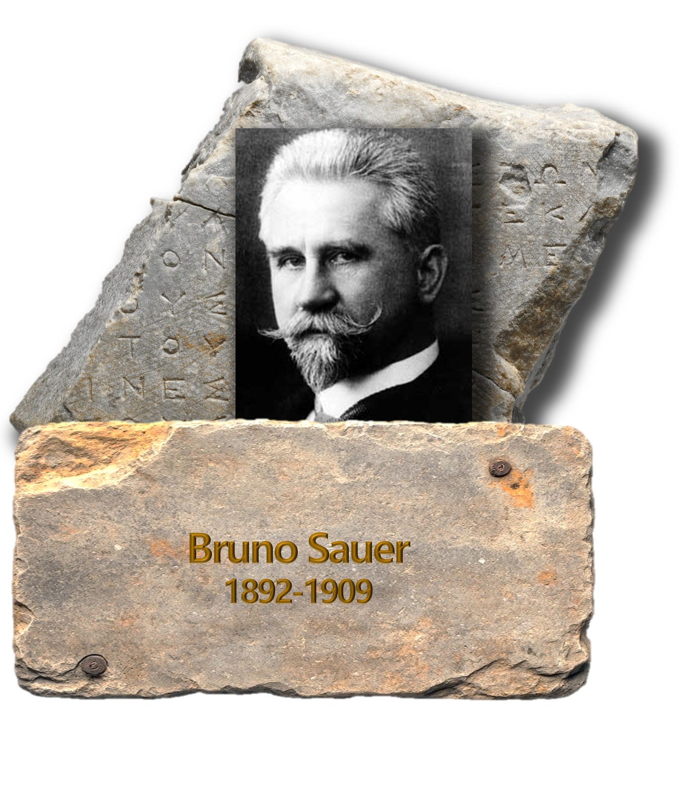 Sauer.jpg