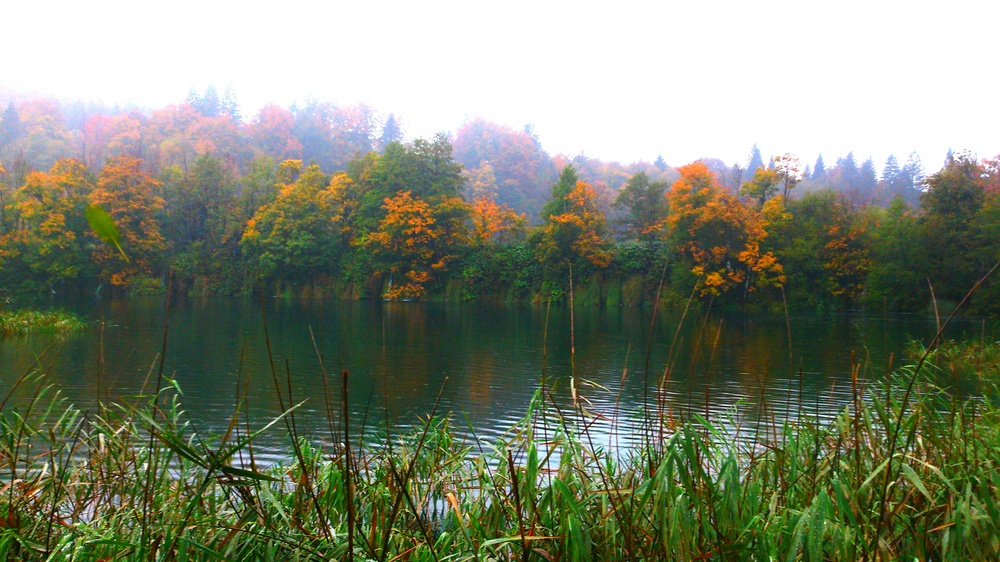 Bild14