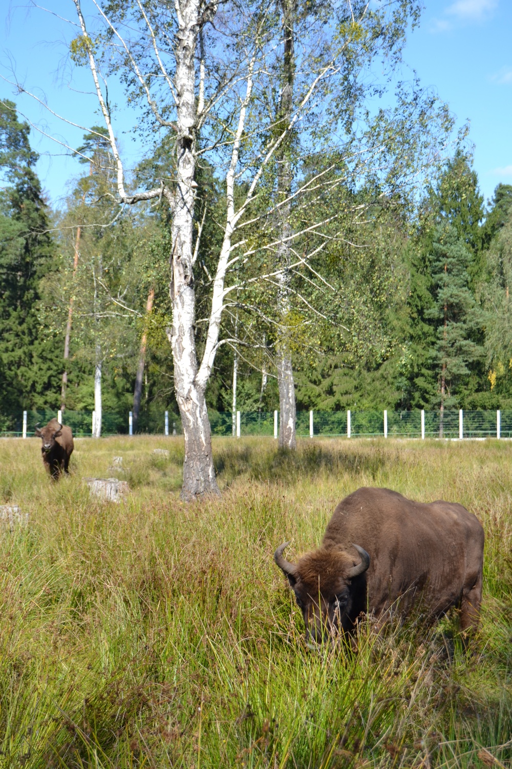Die Jagd war erfolgreich