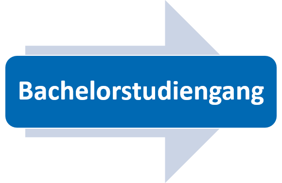 Bachelorstudiengang