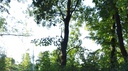 Foto Sommer