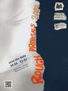 Poster – Rough Proposals 2022