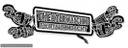Logo TM 2008
