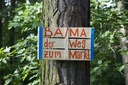 BA MA Der Weg zum Markt tm09