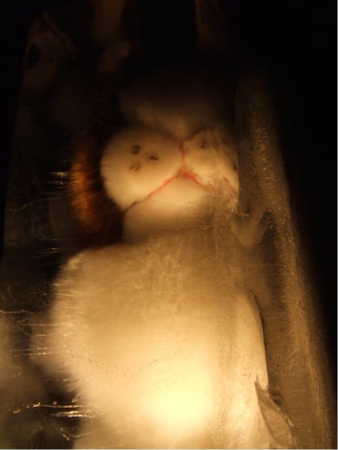 Nacht mit weißen Hemden