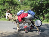 Mobile Albania - im Hinterland