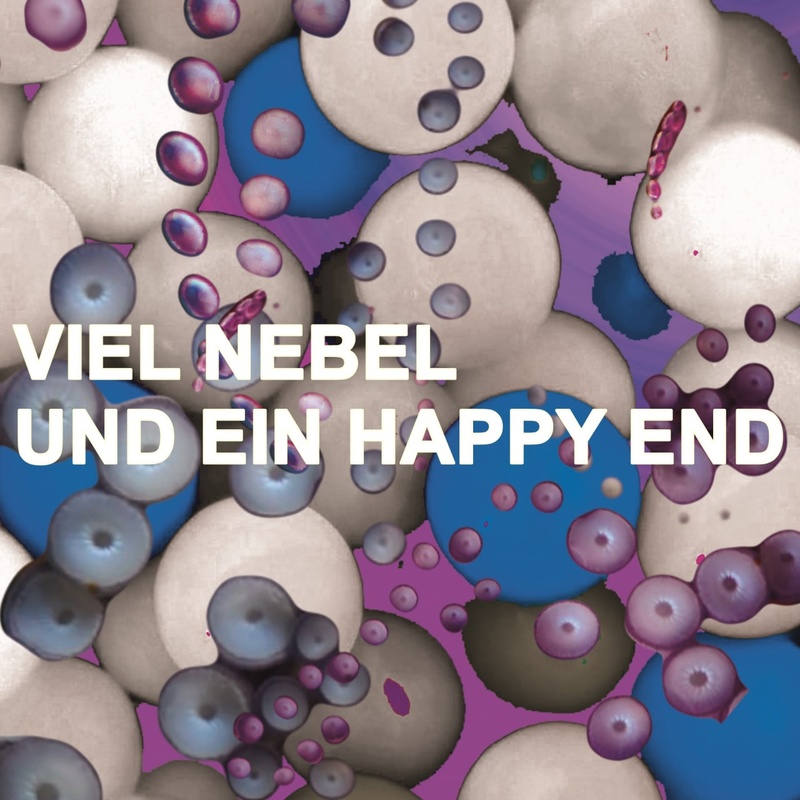 Viel Nebel und ein Happy End.jpg