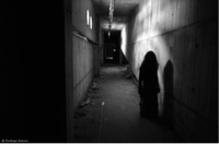 4.48 Psicosis