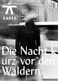 Die Nacht kurz vor den Wäldern