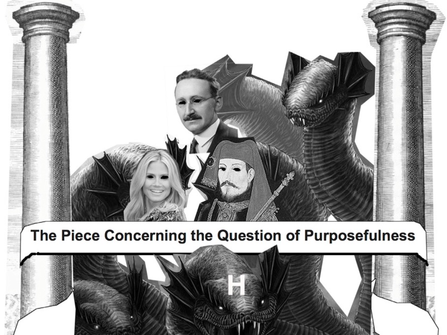 The Piece Concerning the Question of Purposefulness