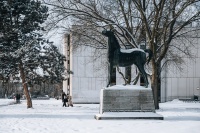pferd im schnee_Friese.jpeg