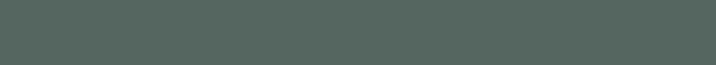 Grünes Banner.png