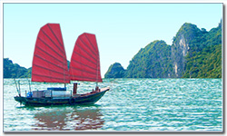 GIP Hanoi