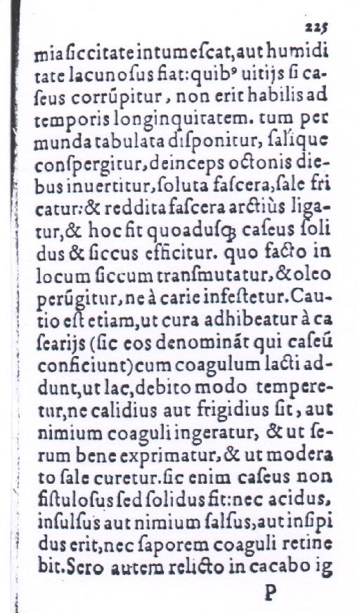 225.jpg