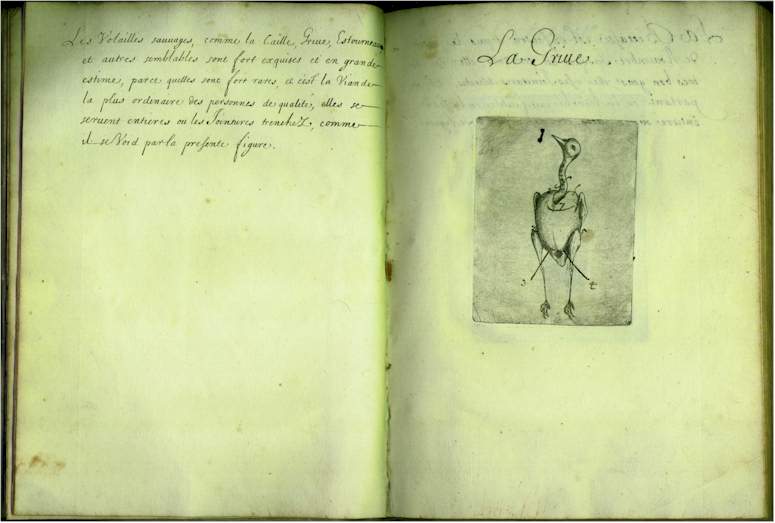 pp0910.jpg