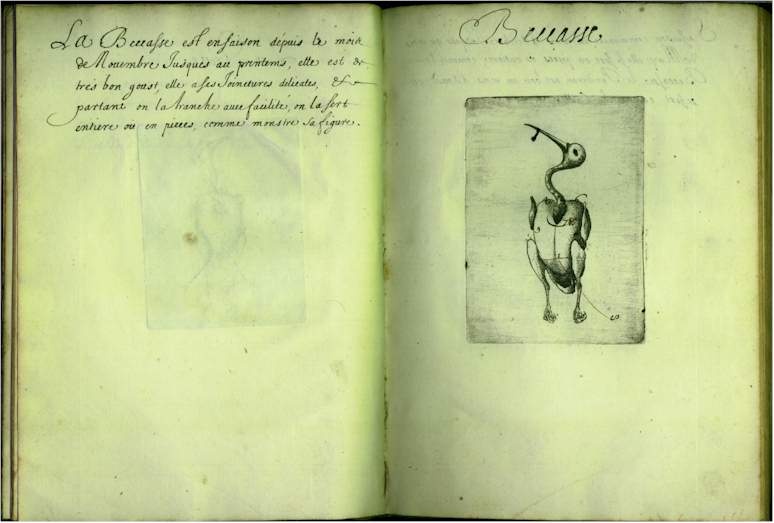 pp1112.jpg