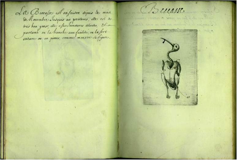 pp1112.jpg