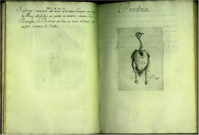 pp1314.jpg