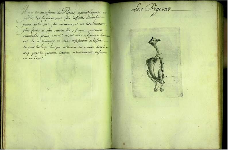 pp1516.jpg