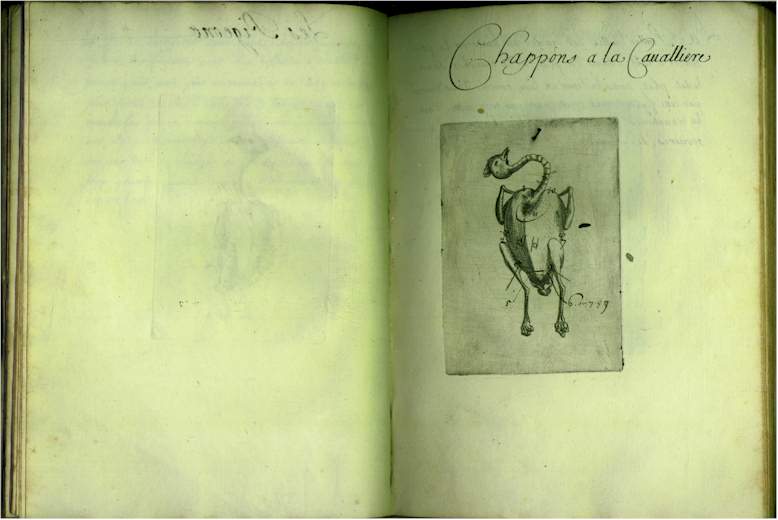 pp1718.jpg