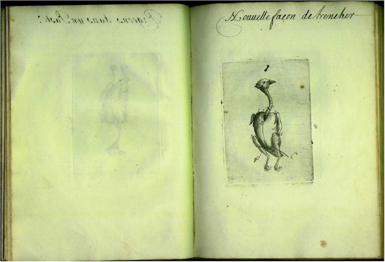 pp2122.jpg