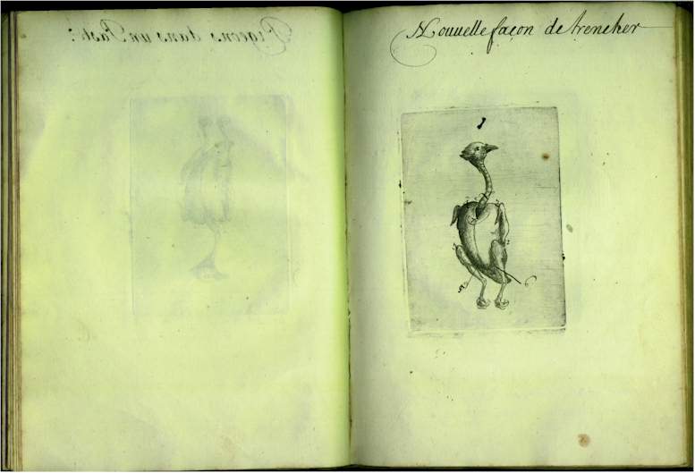 pp2122.jpg