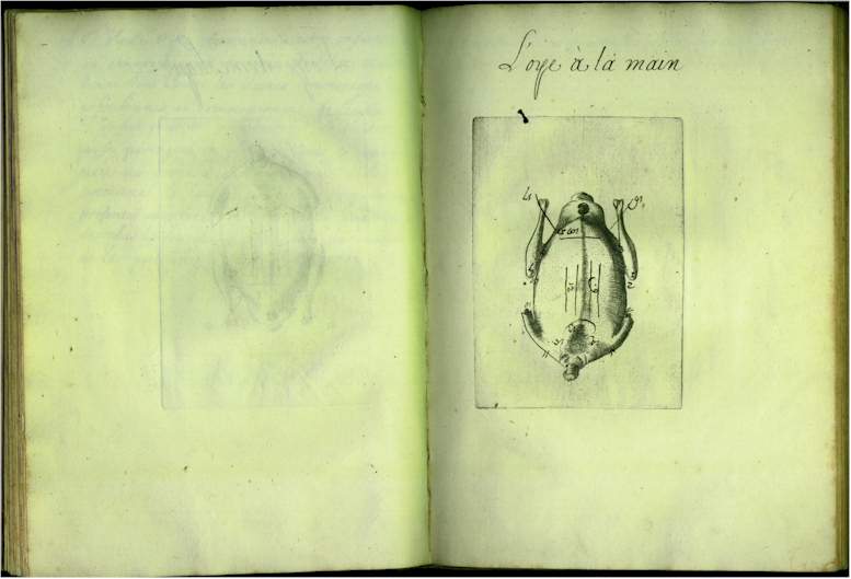 pp3536.jpg