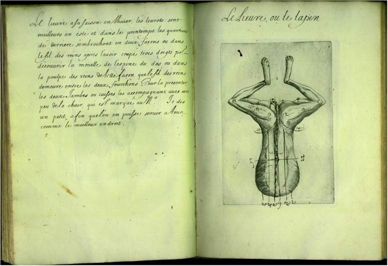 pp3940.jpg