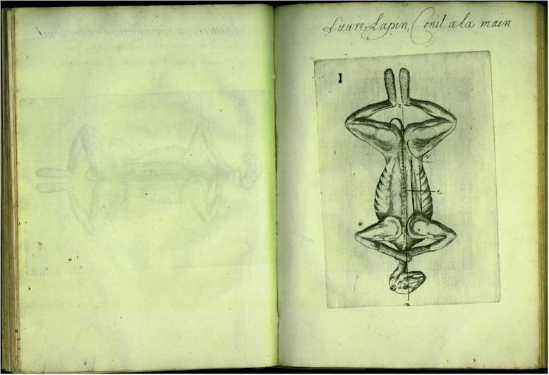pp4546.jpg