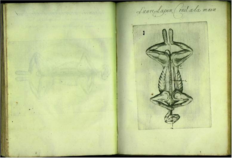pp4546.jpg