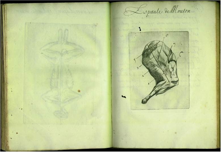 pp4748.jpg
