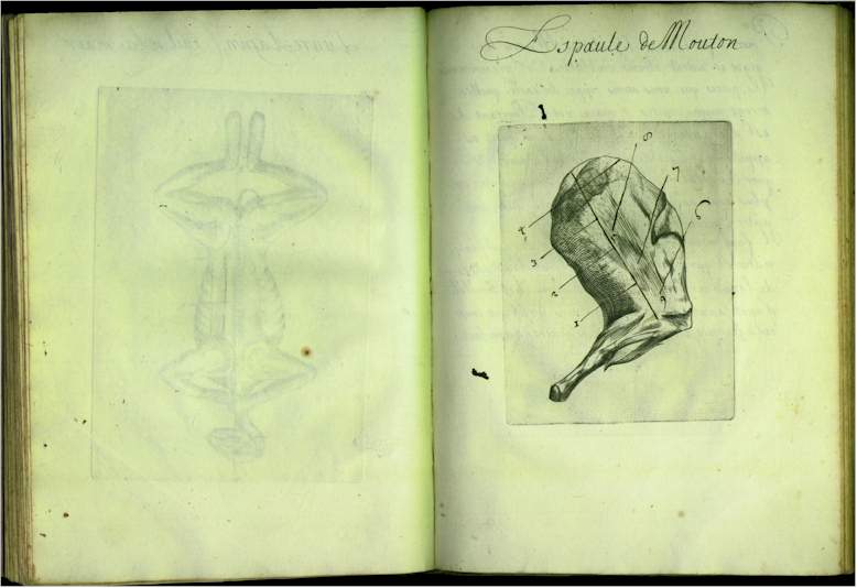 pp4748.jpg