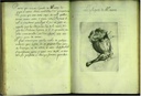 pp4950.jpg