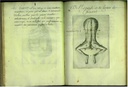 pp5354.jpg