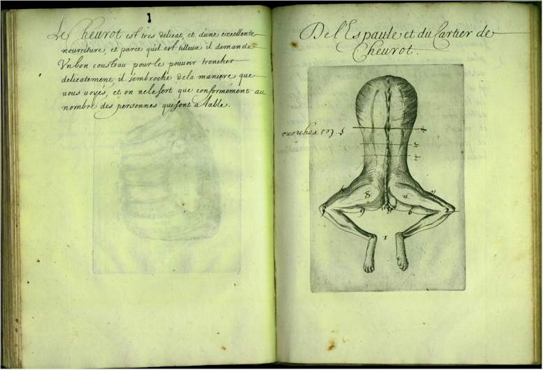 pp5354.jpg