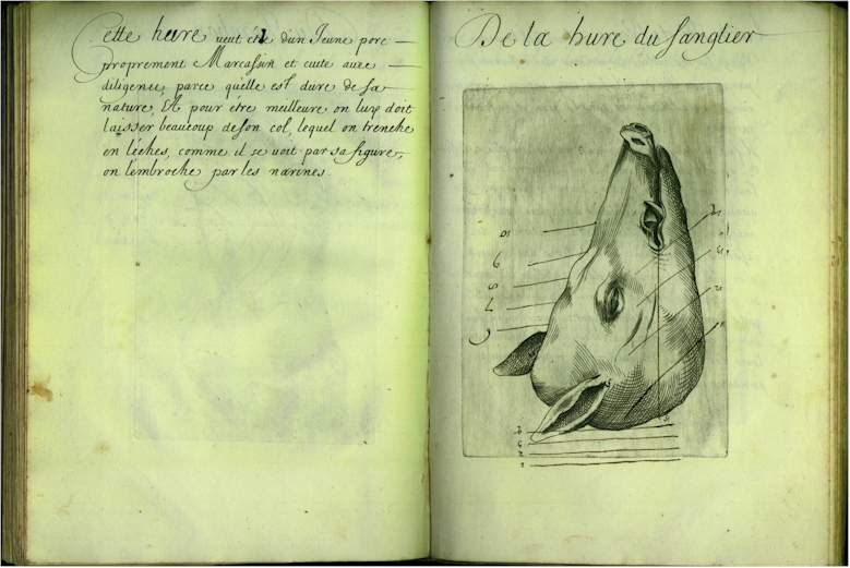 pp5758.jpg