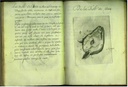 pp5960.jpg