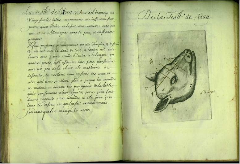 pp5960.jpg