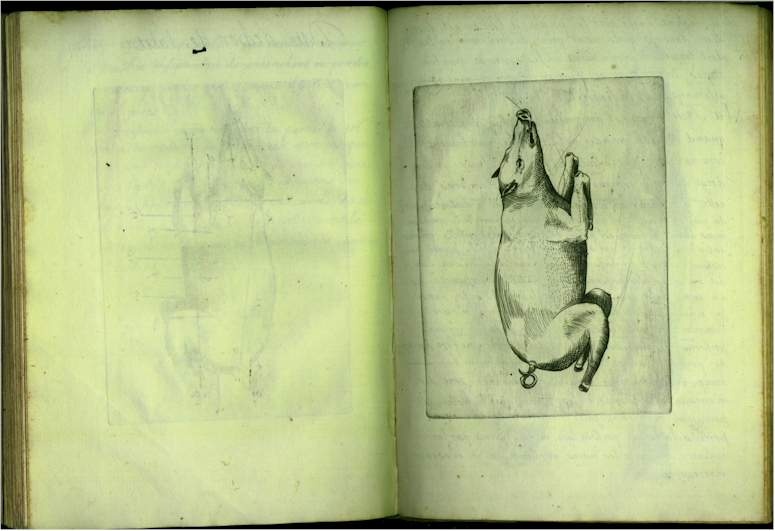 pp6162.jpg