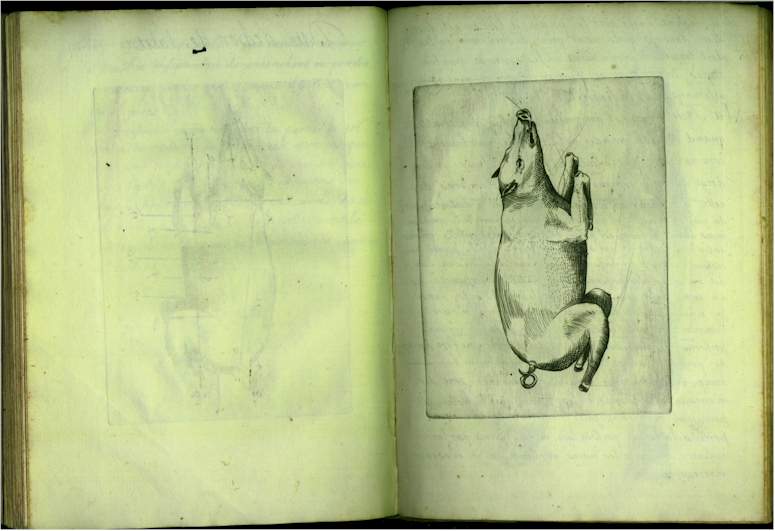 pp6162.jpg