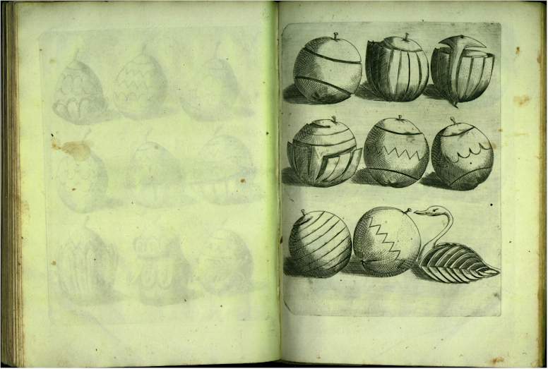 pp6970.jpg