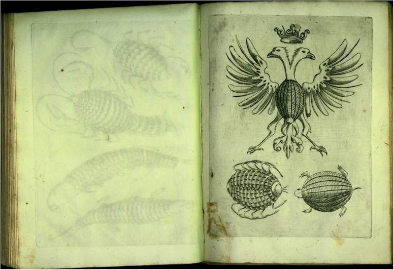 pp7778.jpg