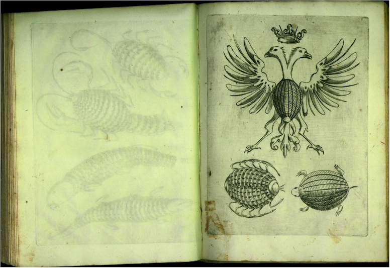 pp7778.jpg