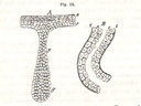 cp-f018.jpg