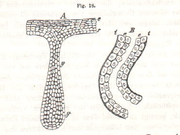 cp-f018.jpg